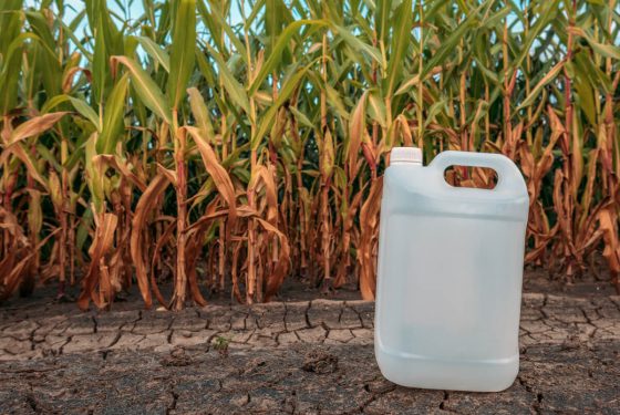 white-plastic-pesticide-chemical-jug-in-cornfield-Z7JY94H